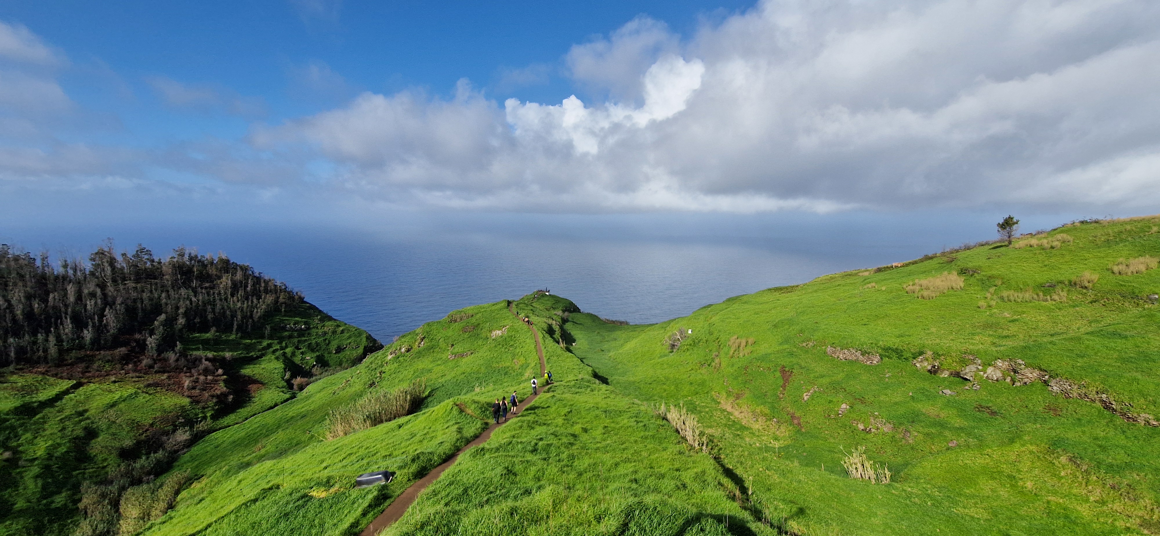 Green ridge over the Atlantic, Madeira
